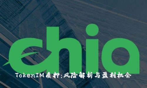 TokenIM质押：风险解析与盈利机会