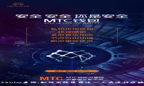 深入了解Tokenim查询：如何高效使用这一工具进行区块链数据分析