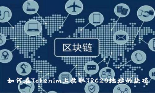 如何在Tokenim上收取TRC20地址的款项