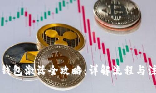 区块链钱包激活全攻略：详解流程与注意事项