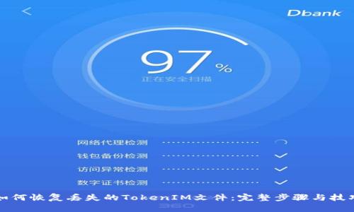 如何恢复丢失的TokenIM文件：完整步骤与技巧