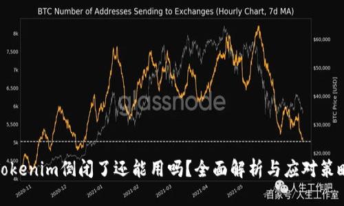 Tokenim倒闭了还能用吗？全面解析与应对策略