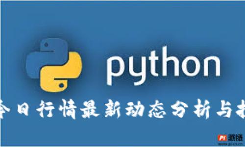 狗狗币今日行情最新动态分析与投资策略