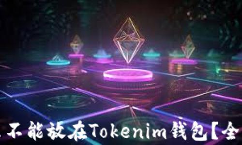 瑞波币为什么不能放在Tokenim钱包?全面解析与建议