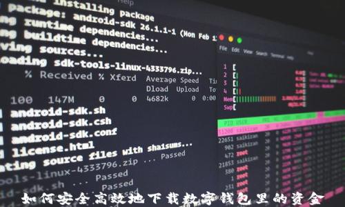 
如何安全高效地下载数字钱包里的资金