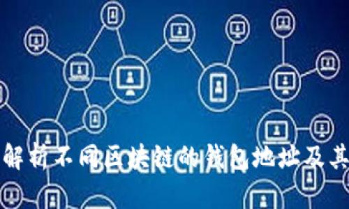 全面解析不同区块链的钱包地址及其特点