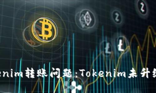### Tokenim转账问题：Tokenim未升级能否转账？