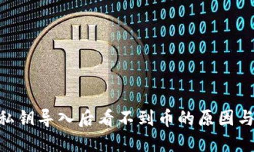 tokenim私钥导入后看不到币的原因与解决方案