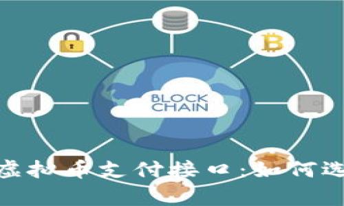 全面解析虚拟币支付接口：如何选择与整合
