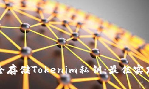如何安全存储Tokenim私钥：最佳实践和技巧