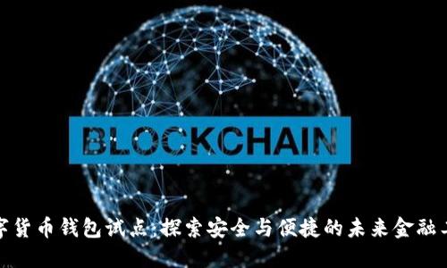 数字货币钱包试点：探索安全与便捷的未来金融工具