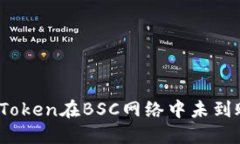 如何解决Token在BSC网络中未