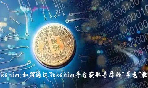 Tokenim：如何通过Tokenim平台获取丰厚的“羊毛”收益