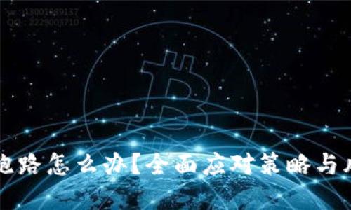 虚拟币平台跑路怎么办？全面应对策略与风险防范指南