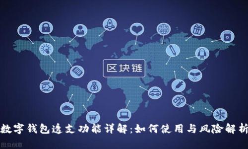 数字钱包透支功能详解:如何使用与风险解析