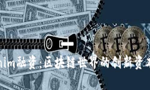 Tokenim融资：区块链世界的创新资本筹集