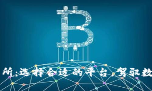 虚拟币交易所：选择合适的平台，驾驭数字货币投资