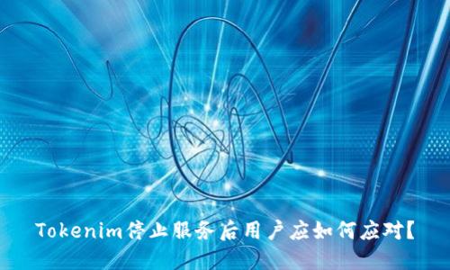 Tokenim停止服务后用户应如何应对？