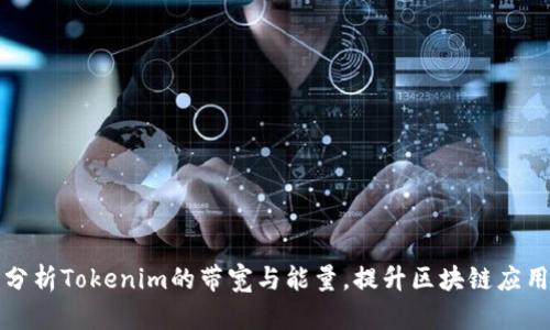 深度分析Tokenim的带宽与能量，提升区块链应用效率