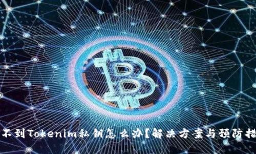 找不到Tokenim私钥怎么办？解决方案与预防措施
