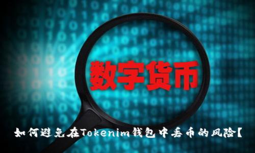 如何避免在Tokenim钱包中丢币的风险？