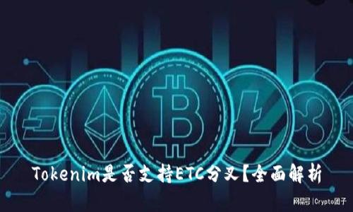 Tokenim是否支持ETC分叉？全面解析