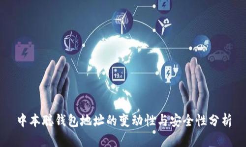 中本聪钱包地址的变动性与安全性分析