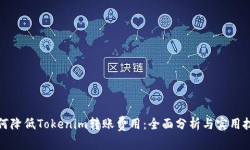 如何降低Tokenim转账费用：全面分析与实用技巧
