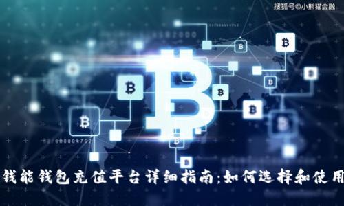 钱能钱包充值平台详细指南：如何选择和使用