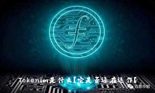 Tokenim是什么？它是否还在运作？