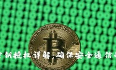 TokenIM密钥授权详解：确保