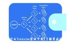 ### 为什么Tokenim禁止下载？