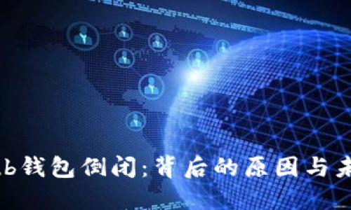 CoinHub钱包倒闭：背后的原因与未来展望