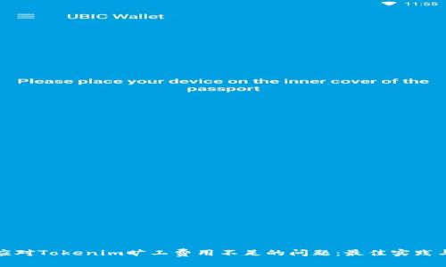 如何应对Tokenim旷工费用不足的问题：最佳实践与策略