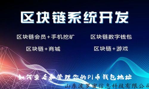 如何查看和管理你的Pi币钱包地址
