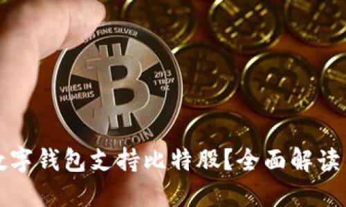 哪些数字钱包支持比特股？全面解读与推荐