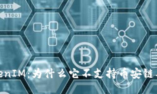 探索TokenIM：为什么它不支持币安链及其影响