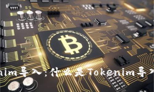 全面解析Tokenim导入：什么是Tokenim导入及其应用价值