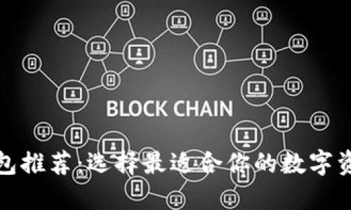 数字货币钱包推荐：选择最适合你的数字资产管理工具