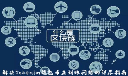 
解决Tokenim钱包币未到账问题的详尽指南