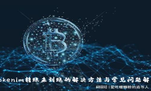 Tokenim转账未到账的解决方法与常见问题解析