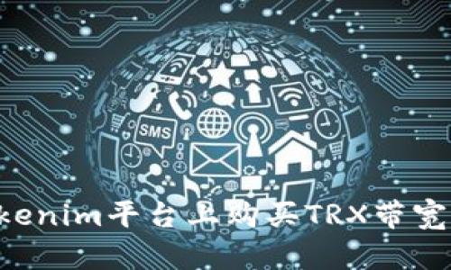 如何在Tokenim平台上购买TRX带宽：详细指南