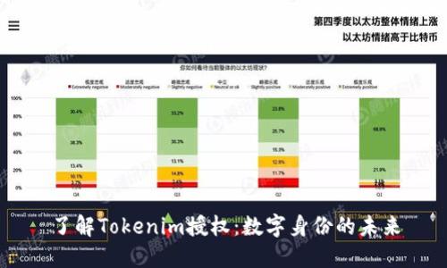 了解Tokenim授权：数字身份的未来