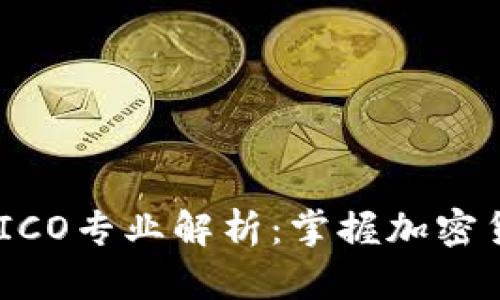 TokenIM ICO专业解析：掌握加密货币新机遇