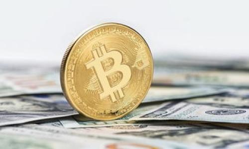 

如何通过数字币钱包实现盈利：新手指南