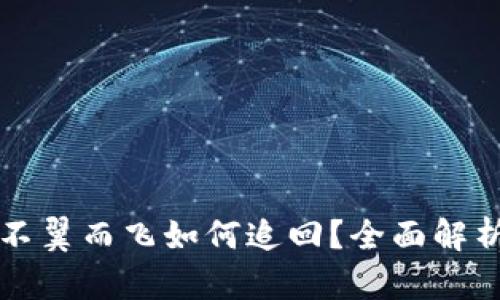 虚拟钱包币不翼而飞如何追回？全面解析与解决方案