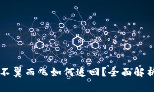 虚拟钱包币不翼而飞如何追回？全面解析与解决方案