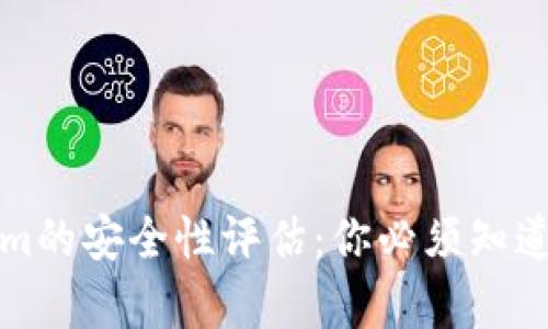 Tokenim的安全性评估：你必须知道的真相
