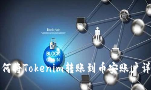 如何将Tokenim转账到币安账户详解