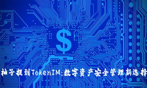 柚子提到TokenIM：数字资产安全管理新选择